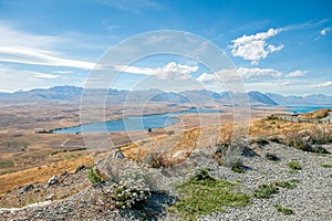 Mackenzie country in New Zealand photo