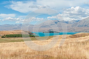 Mackenzie country in New Zealand photo