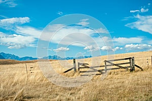 Mackenzie country, South Island, New Zealand photo