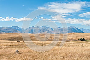 Mackenzie country in New Zealand photo