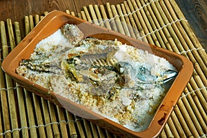 mackerel  Baked in Salt Crust