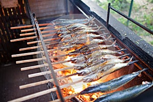 Mackerel on barbecue