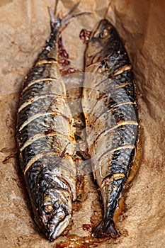 Mackerel barbeque. Scomber fish grill, roast seafood