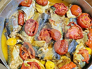 Mackerel fish, baked and cooked with tomatoes, different species of pelagic fish, mostly from the family Scombridae, Mackerel