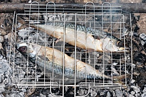 Mackerel fish fresh and tasty grilled on fire at garden party