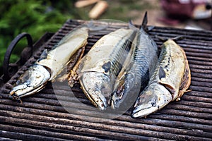 Mackerel fish on grill and hot coals, DOF. Scomber blue mackerel roast, Japanese mackerel roasted, Pacific mackerel, slimy mackere