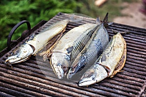 Mackerel fish on grill and hot coals, DOF. Scomber blue mackerel roast, Japanese mackerel roasted, Pacific mackerel, slimy mackere