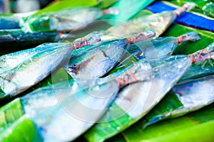 Mackerel fish in plastic bag on stall
