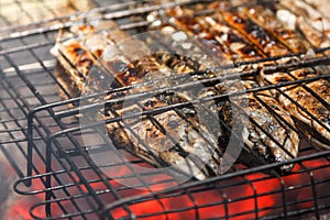 Mackerel fish roast on grill barbecue, bonfire coals with fire