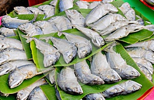 Mackerel fish for sellon the banana leaves which help decreasing fish`s smell smell