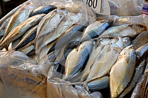 Mackerel fish in the wet market