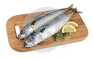 Mackerel fish on wooden plate isolated