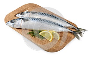 Mackerel fish on wooden plate isolated
