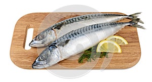 Mackerel fish on wooden plate isolated