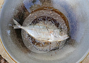 Mackerel fried in frying pan