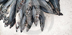 Mackerel on ice in the supermarket. Dead raw frozen Japanese fish called Saba for cooking. Fresh sea saltwater unpacking scomber photo