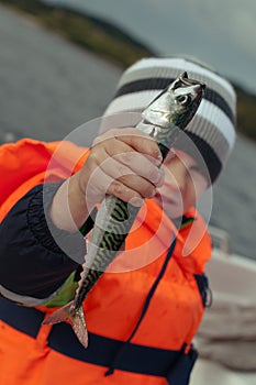 Mackerel in a kid' hand