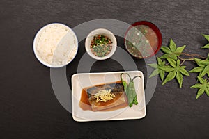 mackerel miso, a staple of Japanese cuisine
