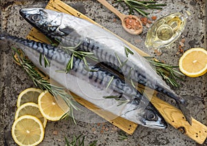 Mackerel Popular seafood. Fresh white sea Mackerel fish cod fillets on a background with lemon ,salt, ingredients for cooking lunc