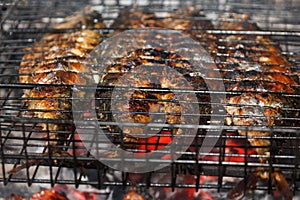 Mackerel roast on grill barbecue, bonfire coals with fire,