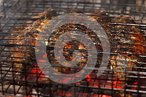 Mackerel roast on grill barbecue, bonfire coals with fire,