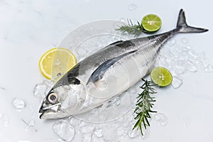 Mackerel scad, Fish on ice for cooking food in the restaurant, Fresh fish raw torpedo scad with lemon, top view