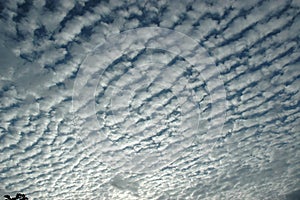 Mackerel sky