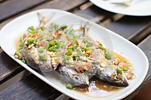 Mackerel in spicy sauce, thai food