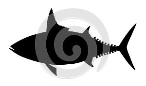 Mackerel tuna. Black realistic silhouette vector image