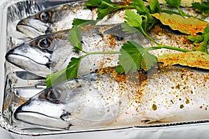 Mackerels with spices and parsley.