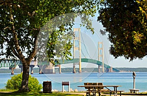 Mackinac Bridge thru trees