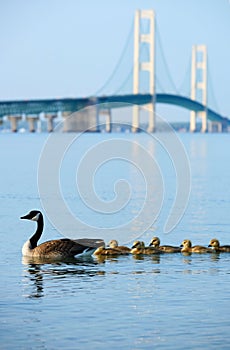 Mackinac suspension bridge