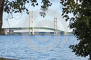 Mackinaw Bridge framed by trees