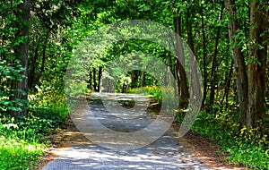 Shady path in the woods on the island