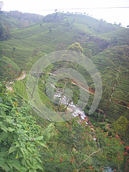 Mackwoods Tea Centre in Nuwara Eliya photo