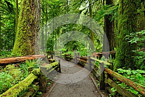 Macmillan provincial park