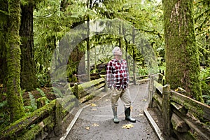 MacMillan Provincial Park Cathedral Grove Vancouver Island