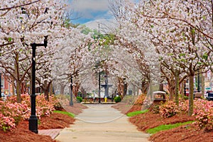 Macon, Georgia, USA in the Spring