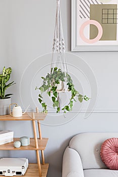 Macrame plant hanger. Concept of bright and cosy home interior.