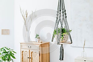 Macrame plant hanger. Concept of bright and cosy home interior.