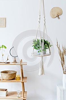 Macrame plant hanger. Concept of bright and cosy home interior.