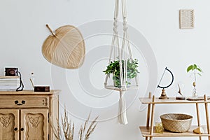 Macrame plant hanger. Concept of bright and cosy home interior.