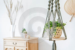 Macrame plant hanger. Concept of bright and cosy home interior.