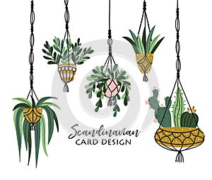 Macrame plant hangers in scandinavian interior. Vector stylish elements design. Isolated on white background.