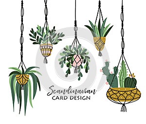 Macrame plant hangers in scandinavian interior. Vector stylish elements design. Isolated on white background. photo