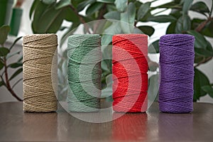 Macrame soft cotton cord on ficus flower pot background. Single twisted string for DIY macrame. Colored cotton rope. Macrame