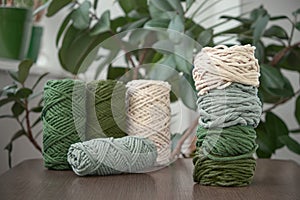 Macrame soft cotton cord on ficus flower pot background. Single twisted string for DIY macrame. Pastel cotton rope. Macrame