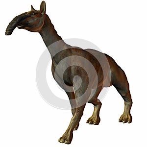 Macrauchenia patachonica