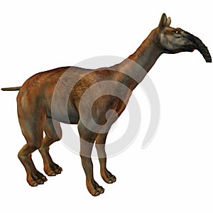 Macrauchenia patachonica