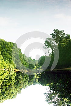 MacRitchie Reservoir